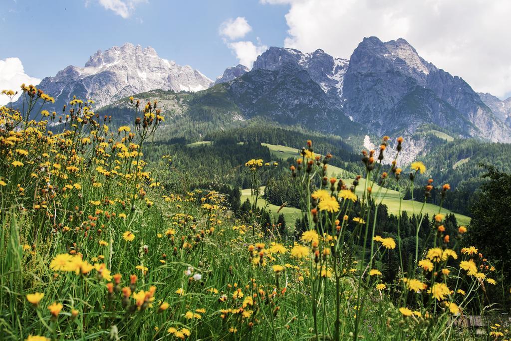 Alpin Lodge Leogang By Alpin Rentals المظهر الخارجي الصورة