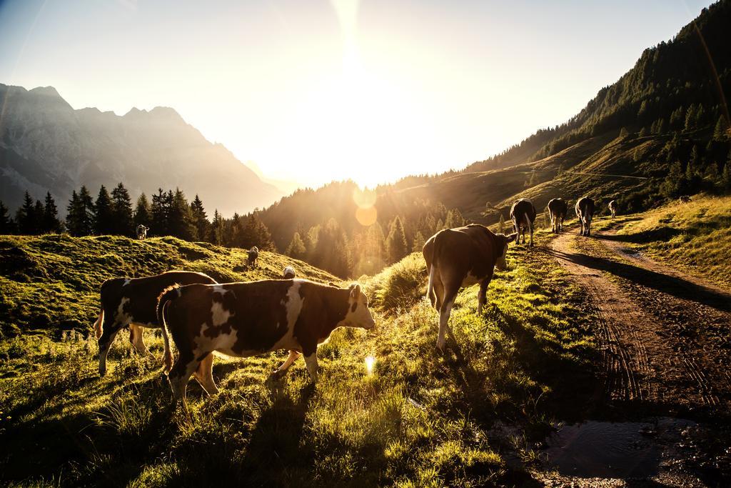 Alpin Lodge Leogang By Alpin Rentals المظهر الخارجي الصورة